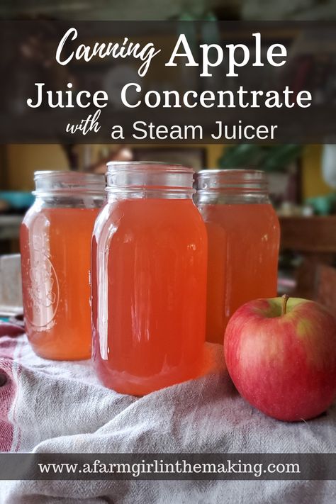 Canning Apple Juice Concentrate | A Farm Girl in the Making Homemade Juice Concentrate, Steam Canner Recipes, Canning Juice From Juicer, How To Make Apple Juice With A Steam Juicer, How To Can Apple Juice, How To Use A Steam Juicer, Apple Juice Concentrate Recipes, Steamer Juicer Recipes, Canning Apple Juice Recipes