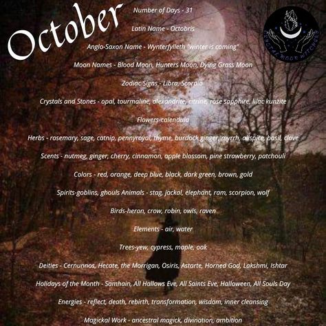 Witches Sabats, October Correspondences, October Witchcraft, Witchy Knowledge, October Magic, Moon Aries, Witchcraft 101, Moon Hunters, Moon Zodiac