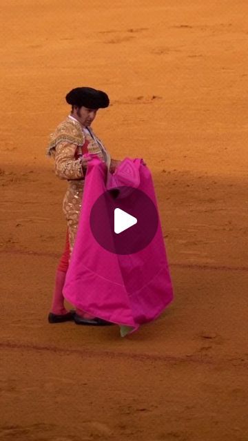 #OléAndalucíaTaurina. ©️ on Instagram: "Hoy... 

📹 @arturo.fotos 

#SIALosToros #Tauromaquia #TorosSi #Toreo #Torero #Arte #Toros #OrgulloTaurino #España #TorosDeLidia #Novillo #Novillero #Novillada #PlazaDeToros #Taurino #Taurina #Sevilla" On Instagram, Instagram