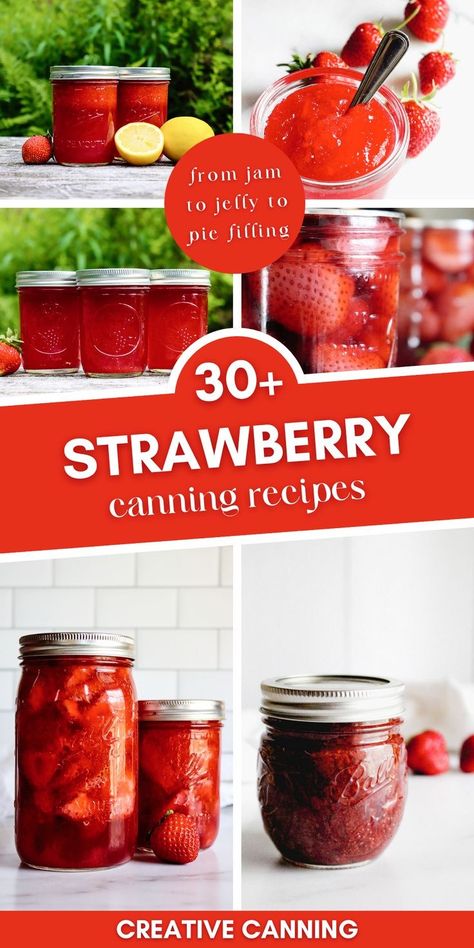 Strawberry Jelly Recipe Canning, Strawberry Canning, Strawberry Jelly Recipes, Canning Fruit Recipes, Strawberry Syrup Recipes, Strawberry Recipes Easy, Water Bath Canning Recipes, Canned Strawberries, Pressure Canning Recipes