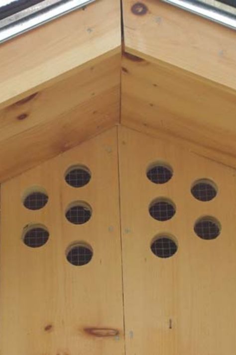 Chicken Coop Ventilation, Coop Ventilation, Portable Chicken Coop, Chicken Coup, Diy Chicken Coop Plans, Chicken Life, Coop Design, Best Chicken Coop, Chicken Coop Designs