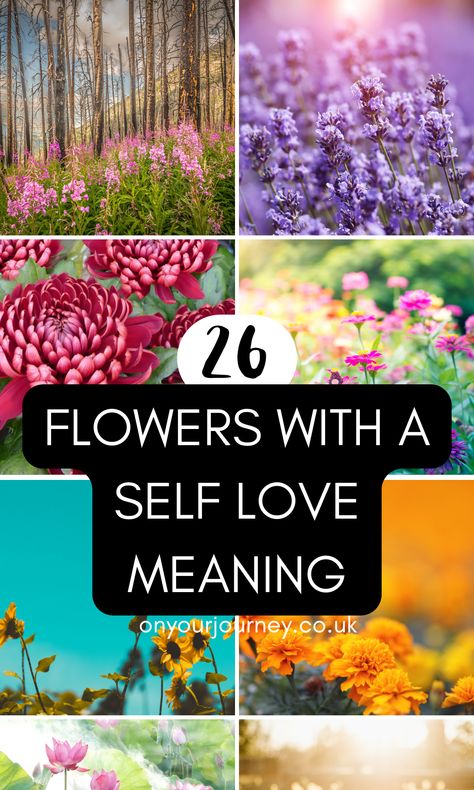 26 Beautiful Flowers with Meanings of Self Love - On Your Journey Self Love Meaning, Self Love Flower, Lily Meaning, Lilac Plant, Love Meaning, Witch Board, Beautiful Meaning, Easter Lily, Friendship Symbols