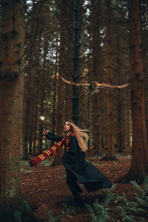 Harry Potter Photography, The Forbidden Forest, Gryffindor Aesthetic, Forbidden Forest, Harry Potter Cosplay, Halloween Photography, Harry Potter Decor, Hogwarts Aesthetic, Fairytale Photography