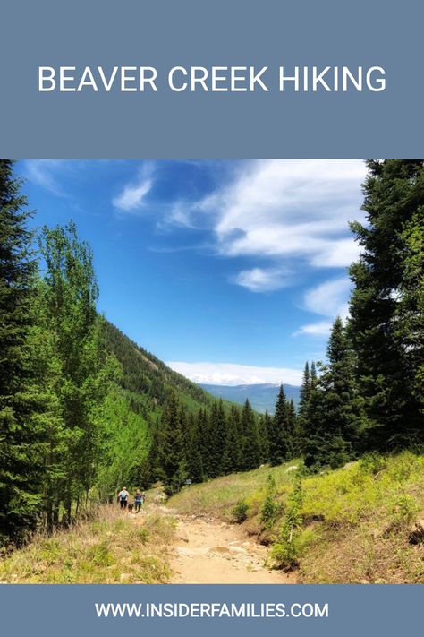 The Colorado ski mountains turn into hikers havens in the summer. Find the best Beaver Creek hiking trails for families here. Beaver Creek Colorado Summer, Colorado Hiking Trails, Ski Mountains, Mountain Top View, Beaver Creek Colorado, Snowy Field, Colorado Ski, Colorado Summer, Ski Mountain