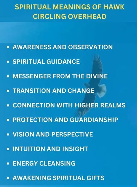 The spiritual meaning of a hawk circling overhead encompasses heightened awareness, divine guidance, and protection. It symbolizes transitions, a connection to higher realms, and the awakening of spiritual gifts, offering profound insights and cleansing energies. Heron Spiritual Meaning, Hawk Spiritual Meaning, Hawk Quotes, Crow Meaning, Hawk Flying, Totem Animals, Spirit Animal Totem, Pagan Spirituality, Energy Healing Reiki