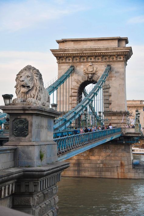 Budapest Danube, Budapest Vacation, Budapest Aesthetic, Budapest Photography, Museum Of Fine Arts Budapest, Budapest Train Station, Chain Bridge Budapest, Budapest Bridge, Budapest Chain Bridge