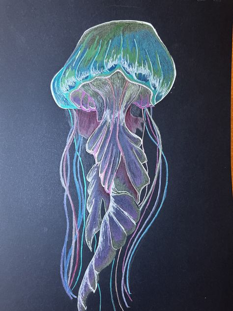 Octopus Drawing, Painting References, Sea Life Art, Octopus Art, Fish Drawings, Jelly Fish, A Level Art, Pastel Art, Kids Outfits Girls