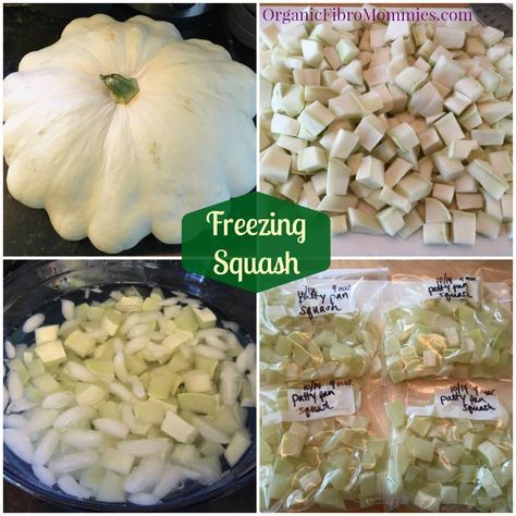 Freezing Summer Squash - includes information on blanching & freezing summer squash in a step-by-step process with pictures ~ OrganicFibroMommies.com Preserve Patty Pan Squash, Can You Freeze Patty Pan Squash, How To Preserve Patty Pan Squash, Canning Patty Pan Squash, How To Freeze Patty Pan Squash, Preserving Patty Pan Squash, Freezing Summer Squash, White Patty Pan Squash Recipe, Preserving Squash