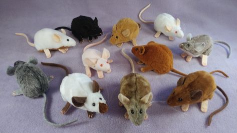 Mousie plushies are now in my shop!  https://www.citrinemouse.com/mice Plushies Aesthetic, Mouse Plush, Mouse Toy, Nostalgic Toys, Custom Toys, Cute Stuffed Animals, Beanie Babies, Build A Bear, Cute Cats And Dogs