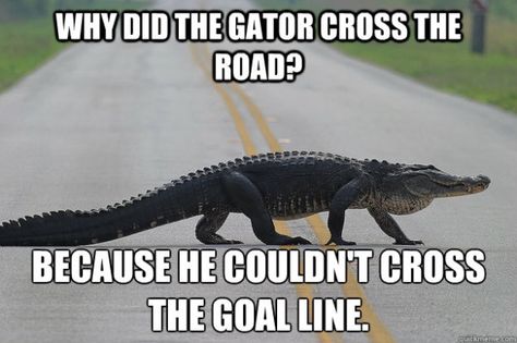 uf5 Florida Gator Memes, College Football Memes, Alabama Football Funny, Florida State Football, Fsu Football, Uga Football, Florida Football, Georgia Dawgs, Georgia Bulldogs Football