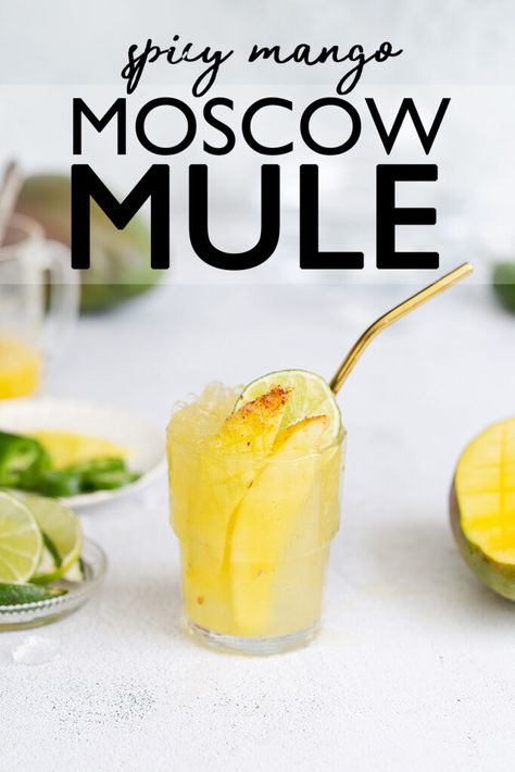 Spicy Mango Moscow Mule · ONE armed MAMA Mango Moscow Mule, Mango Mule Recipe, Mango Moscow Mule Recipe, Spicy Moscow Mule Recipe, Mango Puree Cocktails, Jalapeno Vodka, Spicy Mule, Mango Mule, Moscow Mule Drink Recipes