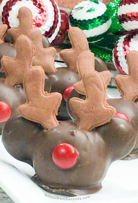 I bet, one of these Rudolph inspired sleigh bell-ringing sweets Mickey Reindeer Cake Pops must have lit Santa's way to your chimney. As much fun to make as they are to eat, they are sure to go down in history. Pin it to your CHRISTMAS BOARD to save for later! Be Sure To Follow Gonna Want Seconds on Pinterest for more great recipes! These Mickey reindeer cake pops bring to mind the affable sidekick, and bring to heart, the spirit of Christmas. Though there are eight others, there was always one o Reindeer Cake, Ghiradelli Chocolate, Super Moist Chocolate Cake, Reindeer Cakes, Peanut Butter Fudge Recipe, Peanut Butter Fudge Easy, Small Cupcakes, Chocolate Melting Wafers, Chocolate Wafers