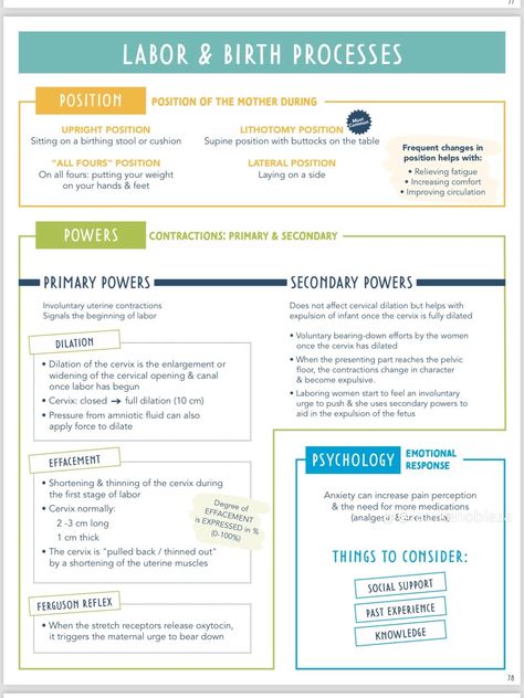 Intrapartum Nursing Notes, Maternal Nursing, Pediatric Nursing Study, Lpn School, Peds Nursing, Clinic Nurse, Nursing School Prep, Med Notes, Newborn Nursing