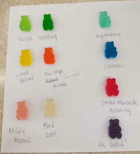 Vet med diagnosis via gummy bears Nurse Meme, Nurse Things, Lab Week, Happy Nurses Week, Nursing School Survival, Nursing School Studying, Nursing School Tips, Vet Med, Medical Tests