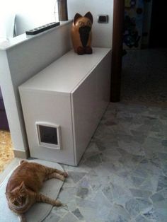 Litter Box Ideas, Diy Cat Shelves, Hackers Ikea, Diy Litter Box, Hidden Litter Boxes, Kat Diy, Chat Diy, Cat Flap, Kitty Litter