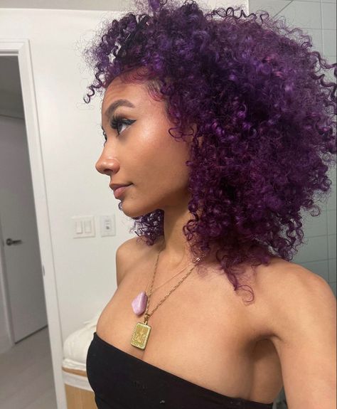 Violet Natural Hair Black Women, Purple Hair For Black Women, Purple Hair Color Curly, Black Hair With Purple Skunk Stripe, Dark Purple On Curly Hair, Purple Hair Color Black Women, Purple Hair Dye Black Woman, Dark Purple Curly Hair Black Women, Black And Purple Hair Black Women