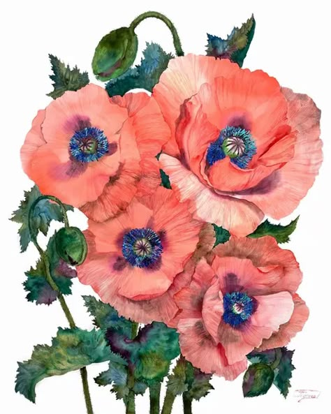 "There is enough ugliness in the world" • Janet Pulcho Watercolor Realistic, August Poppy, Paper Poppies, Peony Art, Watercolor Poppies, Watercolor Lessons, Art Deco Art, Poppy Painting, Watercolor Flower Art