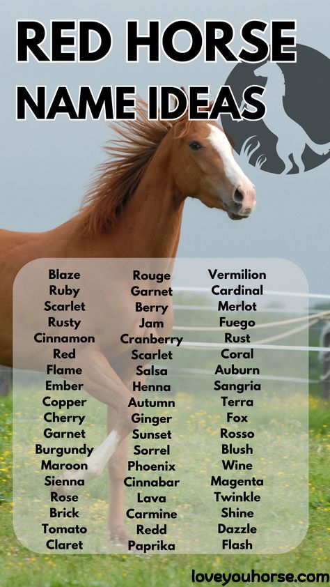 Choosing the right name for a horse is a significant event for any owner.

A name is more than just an identifier; it reflects the horse’s personality, characteristics, and the bond between the horse and its owner.

When it comes to red-themed names, the allure is undeniable. Red is a color associated with passion, energy, and strength—attributes often seen in horses. Horse Name Ideas, Themed Names, Horse Hacks, Palomino Horse, Red Horse, Horse Things, Personality Characteristics, Horse Names, Book Writing Inspiration