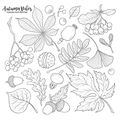 Autumn Doodles, Leaves Doodle, White Autumn, Fall Drawings, Hand Drawn Leaves, Autumn Background, Drawing Flowers, Autumn Illustration, Kunst Inspiration