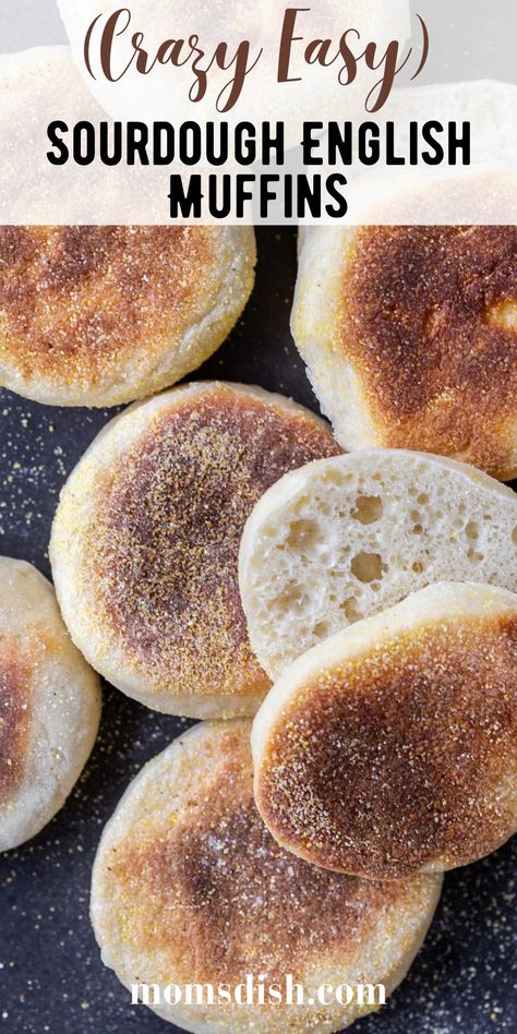 Need a tasty way to use up your sourdough starter? There’s no better way than with this sourdough English muffins recipe. They’re simple to make and perfect for breakfast! Bread Flavor Ideas, Sourdough English Muffin Recipe, English Muffins Recipe, Sourdough English Muffins, English Muffin Recipes, Whole Wheat Sourdough, Sourdough Bread Starter, Homemade Sourdough Bread, Bread Starter