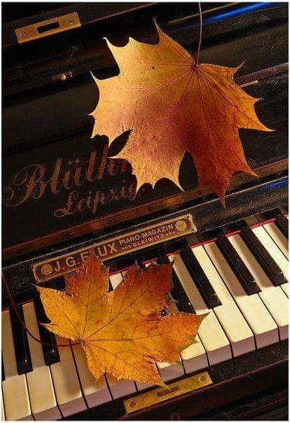 Old Piano, Fall Music, Foto Art, Stunning Photography, Autumn Beauty, Maple Leaves, Land Art, Piano Music, The Words