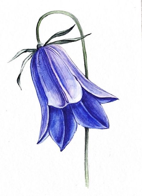 Bluebell Painting Acrylic, Bluebells Flower Drawing, Butterfly Watercolor Painting, Painting Clipart, Yellow Flowers Painting, Abstract Poppies, Pencil Drawings Of Flowers, Blue Bell Flowers, Learn Watercolor Painting