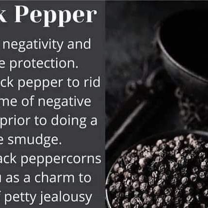 Belneus on Instagram: "Black Pepper From @crystal_moon_witchery_ #witchymeme #witchymemes #witchesofinstagram #witchmeme #witch #witchmemes #witchcraft #witchy #witchesofig #witchyvibes #paganmemes #witches #witchythings #pagan #greenwitch #witchyhumor #memesforwitches #pagansofinstagram #witchhumor #witchcraftmemes #spirituality #witchlife #spells #funnywitch #bitchy #witchesbelike #spiritualmemes #spiritual #instawitch #witchylife" Witch Meme, The Green Witch, Magickal Herbs, Green Witch, Witchy Vibes, October 1, Black Pepper, Witch, Spirituality