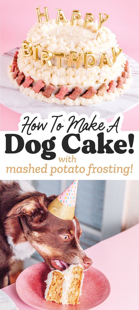 Dog Frosting Recipe, Spoiled Dog Cake, Dog Friendly Cake, Dog Cake Recipes, Mashed Potato Cakes, Potato Dog, How To Make Frosting, Healthy Dog Treats Homemade, Puppy Cake