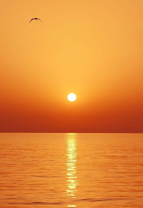 Evening Sun Set Images, Sunset Png, Pictures Of The Sun, Good Evening Messages, Prince Of Egypt, Png Art, Moon Images, Sea Colour, Ocean Wallpaper