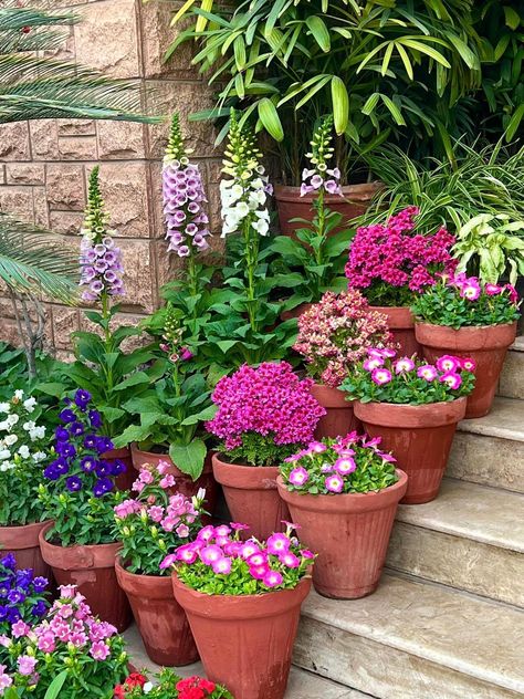 Green Home Ideas, Potted Flower Garden, Mixed Flower Pots, Small English Garden, Flower Arragement, Upcycled Decor, Garden Flower Beds, Future Garden, Container Ideas