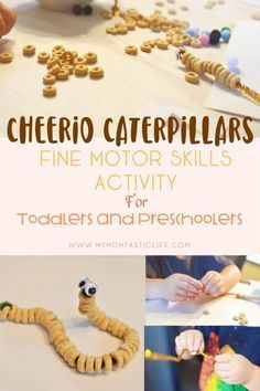 Cheerio Caterpillars, Bug Theme Preschool, Preschool Bug Theme, Preschoolers Activities, Fine Motor Skills Activity, Motor Skills Activity, Toddlers Activities, Bug Activities, Insects Preschool