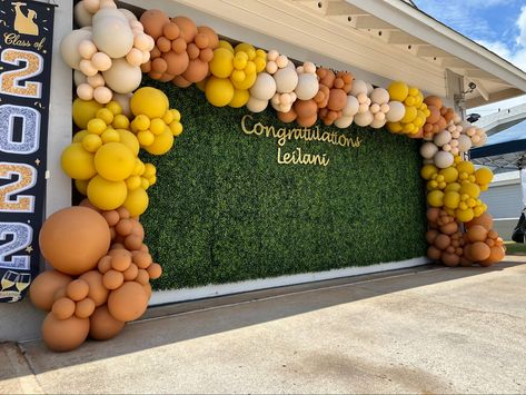 Congratulations Backdrop, Graduation Balloon Decorations, Congratulations Sign, 2024 Party, Yellow Blush, Daisy Party, Yellow Party, Graduation Balloons, Graduation Ideas