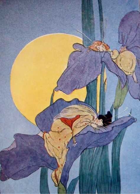 Sleeping Fairies Younger Self Art, Vintage Illustration Art, Fairy Illustration, Fairytale Illustration, Vintage Fairies, Flower Fairies, Fairytale Art, Younger Sister, Frank Lloyd