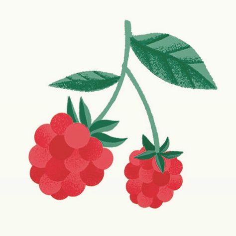 😛 #raspberry #madeleines #raspberrymadeleine #maisoncolibri #packagingillustration Fruit Collage, Summer Illustration, Fruit Illustration, Affinity Designer, Web Layout Design, Fruit Print, Food Illustrations, Ipad Wallpaper, Flat Design