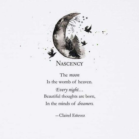 NASCENCY  The moon Is the womb of heaven. Every night.. Beautiful thoughts are born, In the minds of dreamers.  Clairel Estevez Moon And Star Quotes, Bear Fashion, Aesthetic Moon, Now Quotes, Poetic Quote, Moon Quotes, My Poetry, Star Quotes, Food Diy