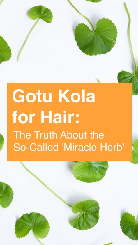 From tightening up saggy skin to preventing excessive hair fall, there are manifolds of gotu kola benefits for skin and hair. Tap to read more. Gotu Kola Recipe, Moringa For Hair Growth, Bitter Kola Nut Benefits, Gotu Kola Benefits, Ayurveda Herbs For Hair, Excessive Hair Fall, Gotu Kola, Medical Herbs, Saggy Skin