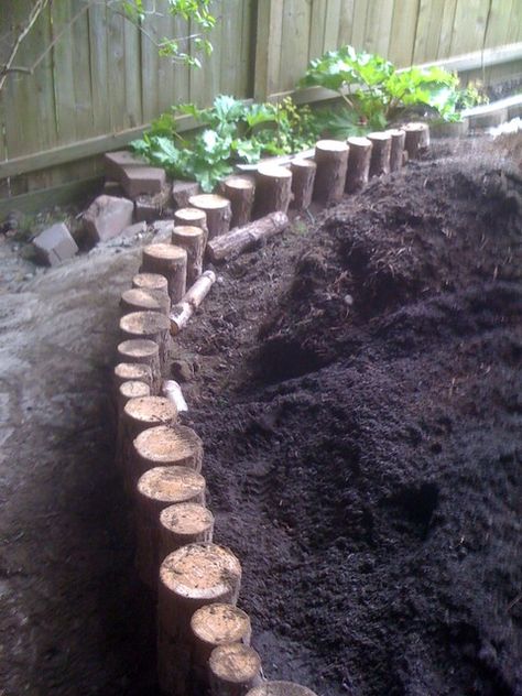 Tree Stump Retaining Wall, Cheap Easy Retaining Wall, Log Retaining Wall, Cedar Tree, Sensory Garden, Have Inspiration, Retaining Walls, The Secret Garden, Garden Edging