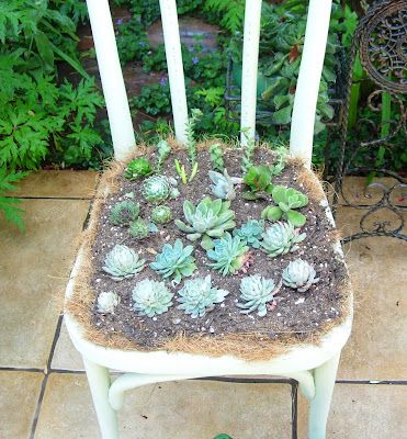 Thyme In A Bottle: Shabby Chic - Turn old chair into a succulent planter. Windowsill Ideas, Garden Succulents, Chair Planter, Plant Ideas, Old Chair, Chicken Wire, Succulent Planter, Outdoor Rooms, A Chair