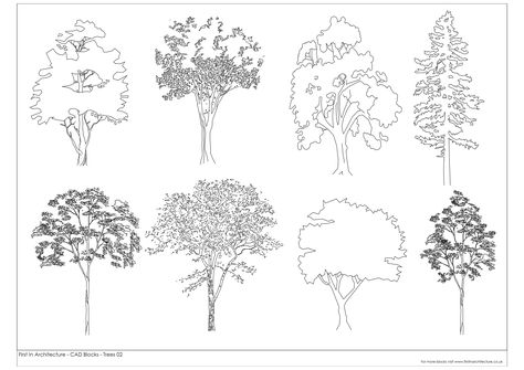 Our free CAD Block database is a new feature to First In Architecture. We hope you find them useful. Please feel free to download Tree Dwg, Architectural Trees, Tree Plan, Landscape Architecture Drawing, Elevation Drawing, Tree Sketches, Garden Drawing, Landscape Sketch, Architecture Graphics