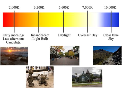 Color Temperature Basics - Get Your Colors Right in Camera - ALC White Balance, Quotes About Photography, Plant Lighting, Cool Poses, All About Plants, Color Theory, Sounds Like, Color Temperature, Photography Tips