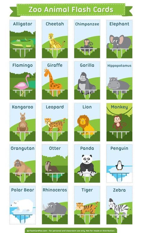 Free printable zoo animal flash cards. Download them in PDF format at http://flashcardfox.com/download/zoo-animal-flash-cards/ Animal Flash Cards, Kertas Kerja Prasekolah, Materi Bahasa Jepang, Animal Flashcards, Excel Tips, Learning English For Kids, Flashcards For Kids, Kids English, Printable Flash Cards