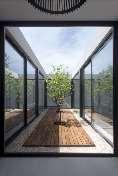 Gallery of House 2LH / Luciano Kruk - 3 Atrium House, Indoor Courtyard, Courtyard Design, Internal Courtyard, Glass Walls, Patio Interior, Container House Design, Courtyard House, Design Exterior