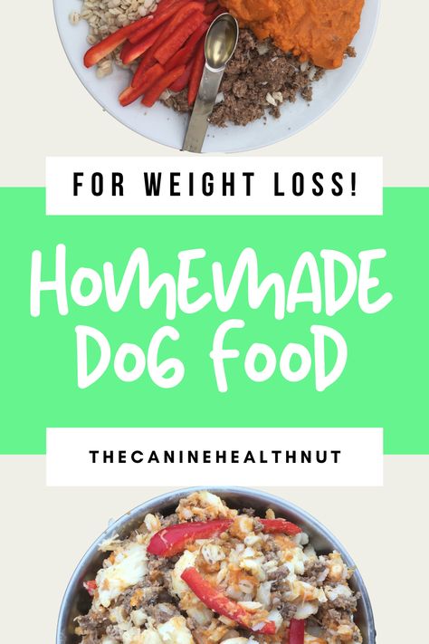 Weight loss for Dogs is not as easy as just reducing calories - the overall composition and nutritional quality of both the diet and ingredients are so important! So many dogs struggle with obesity and being overweight. This home cooked dog food recpie is perfect for weight loss - it is nutritionally dense, and low in calories, so your dog will be able to eat a large volume of food for little calories. Overall this high protein dog food recipe is perfect for dogs who need to lose weight. Diet Dog Food Recipes, Low Calorie Dog Food Homemade, Homemade Dog Food For Weight Management, Homemade Weight Management Dog Food, Low Fat Dog Food Recipes, Low Calorie Dog Food, Weight Gain For Dogs, Cooked Dog Food, Low Fat Dog Food