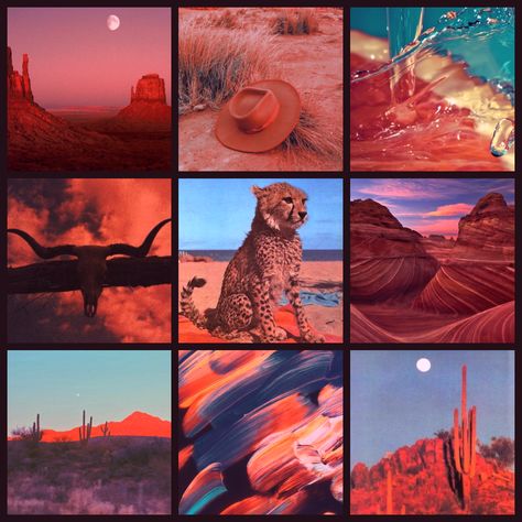 Animal Moodboard Aesthetic, Cow Moodboard, Moodboard Animals, Desert Mood Board, Pink Moodboard Aesthetic, Adopt Moodboard, Animal Moodboard, Moodboard Adopts, Adopt Idea