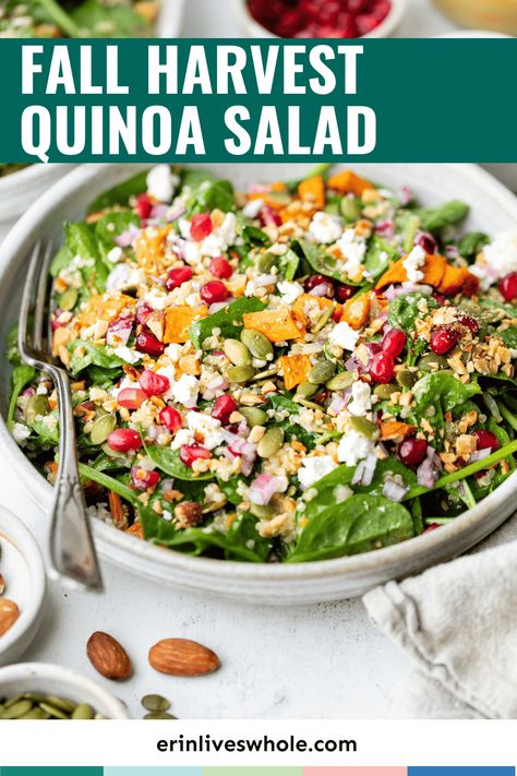 Embrace the cozy vibes of fall with a delightful spinach quinoa salad with feta cheese. This hearty salad celebrates the earthy flavors of the harvest season, combining the nutty texture of quinoa, the tangy crumble of feta, and the sweetness of roasted sweet potatoes. Tossed in a homemade quinoa salad dressing, each bite is a burst of robust flavors! Harvest Quinoa Salad, Spinach Quinoa Salad, Quinoa Salad Dressing, Fall Quinoa Salad, Quinoa Spinach Salad, Salad With Feta Cheese, Thanksgiving Salad Recipes, Thanksgiving Salad, Quinoa Spinach