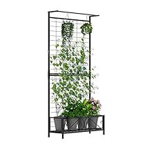 Trellis Raised Bed, Planter With Trellis, Hanging Planter Boxes, Small Trellis, Planter Trellis, Climbing Vines, Self Watering Planter, Metal Planters, Hanging Plant