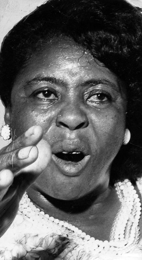 Fannie Lou Hamer, Black Gazelles, Mahalia Jackson, Chicago History Museum, Civil Rights Leaders, Vintage Black Glamour, Black Knowledge, Famous Black, Black Hollywood