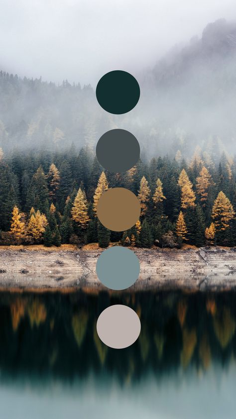 Brand color palette inspiration designed by Amari Creative, branding and design studio. #PalettesThatPop Brand Color Palette, Color Palette Design, Color Inspo, Brand Board, Colour Board, Paint Colors For Home, Color Stories, Colour Schemes, Color Pallets