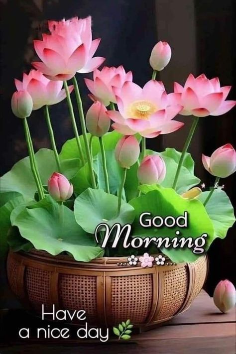 Nice Good Morning Images, Good Night Friends Images, Happy Good Morning Images, Good Morning Happy Thursday, Lovely Good Morning Images, Good Morning Greeting Cards, Good Morning Flowers Rose, Good Morning Nature, Good Morning Flowers Quotes