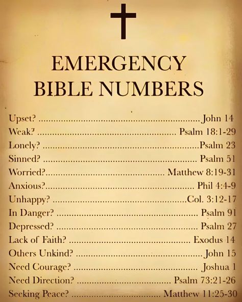 ᴄᴏᴍᴩᴀɴɪᴏɴ ᴏꜰ ᴍᴇꜱꜱɪᴀʜ | 𝓑𝓲𝓫𝓵𝓮 ��𝓮𝓶𝓮𝓻𝓰𝓮𝓷𝓬𝔂 𝓷𝓾𝓶𝓫𝓮𝓽𝓼 🙏🏻 | Instagram 999 Emergency Activities, Numbers Bible, Bible Verse Emergency Numbers, Emergency Numbers Bible, Book Of Numbers Bible, Bible Emergency Numbers, Psalm 51, Psalm 27, Bible Images